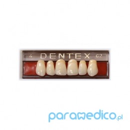 Zęby Dentex przednie górne