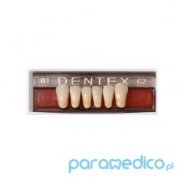 Zęby akrylowe Dentex przednie dolne