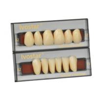 Zęby akrylowe - Paramedico